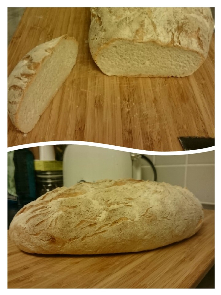 collage-1546843118680